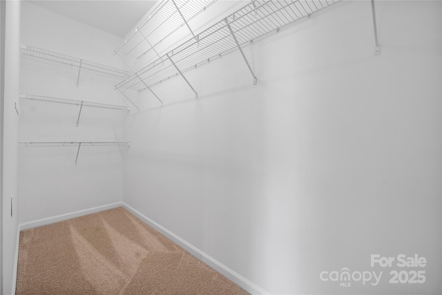 14103 Hiawatha Ct, Huntersville, NC 28078 - spacious closet with carpet flooring