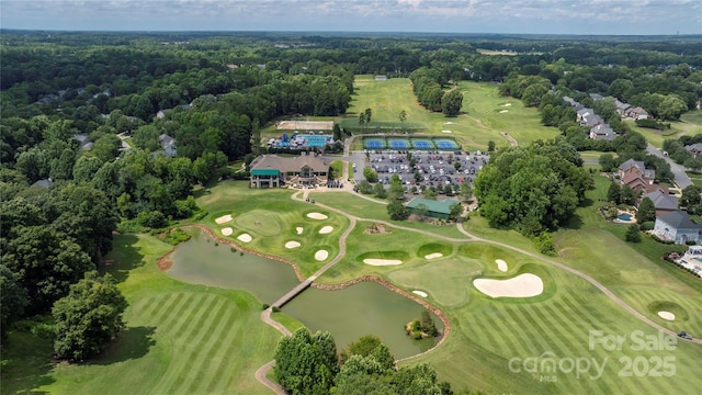 14103 Hiawatha Ct, Huntersville, NC 28078 - view of property location featuring a large body of water and a golf club