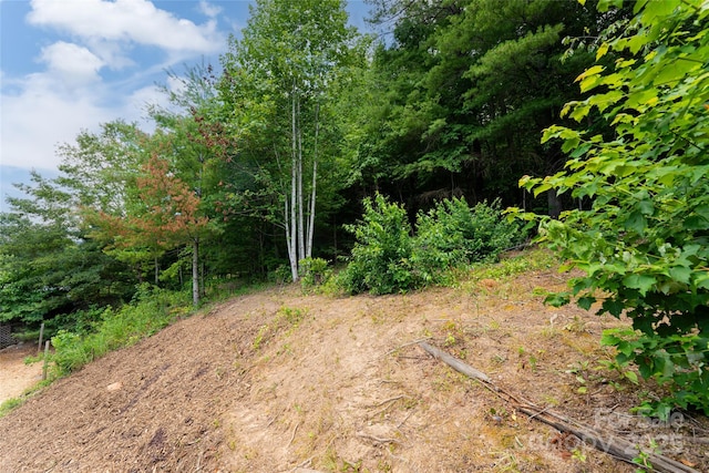 326 New Salem Rd, Swannanoa, NC 28778 - photo 12