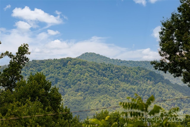326 New Salem Rd, Swannanoa, NC 28778 - photo 33