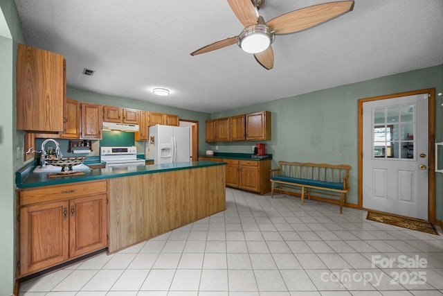 324 Swamp Fox Dr, Fort Mill, SC 29715 - kitchen with white appliances, under cabinet range hood, a ceiling fan, a peninsula, and dark countertops