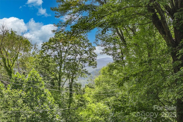 56 Faraway Dr, Cullowhee, NC 28723 - water view with a forest