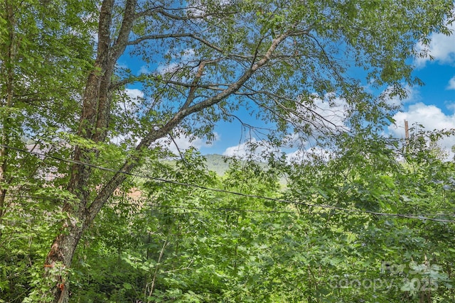 56 Faraway Dr, Cullowhee, NC 28723 - view of nature
