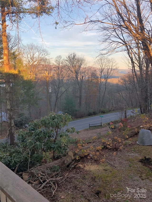 56 Faraway Dr, Cullowhee, NC 28723 - view of yard