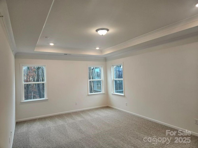 8231 Annsborough Dr NW, Concord, NC 28027 - spare room featuring crown molding, a raised ceiling, healthy amount of natural light, carpet, and recessed lighting