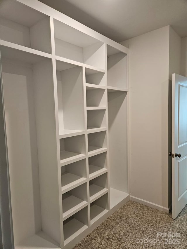 8231 Annsborough Dr NW, Concord, NC 28027 - view of closet