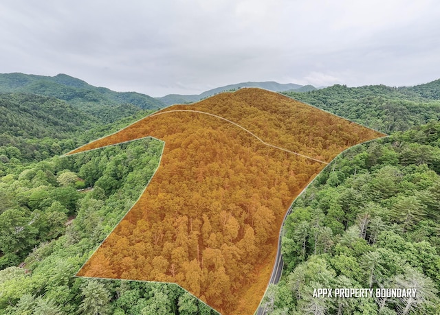 399 Shell Stand Rd, Almond, NC 28702 - photo 1