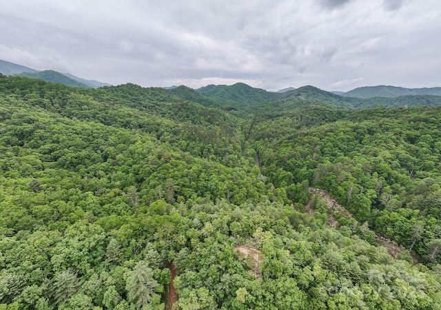 399 Shell Stand Rd, Almond, NC 28702 - photo 6