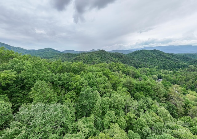 399 Shell Stand Rd, Almond, NC 28702 - photo 7