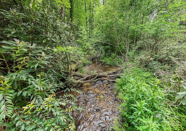 399 Shell Stand Rd, Almond, NC 28702 - photo 8