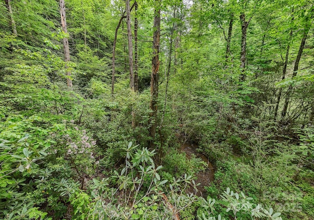 399 Shell Stand Rd, Almond, NC 28702 - photo 9