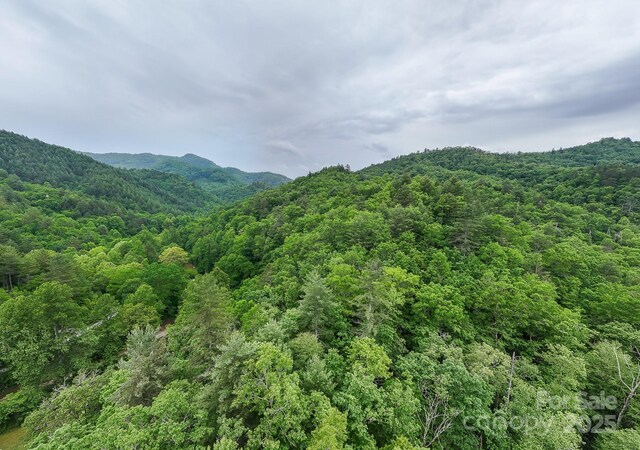 399 Shell Stand Rd, Almond, NC 28702 - photo 11