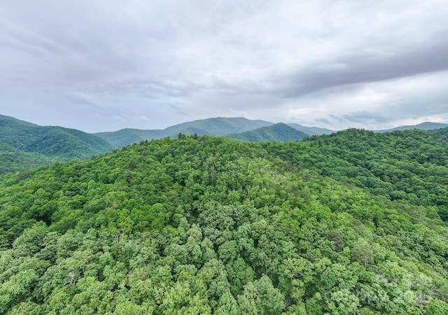 399 Shell Stand Rd, Almond, NC 28702 - photo 12