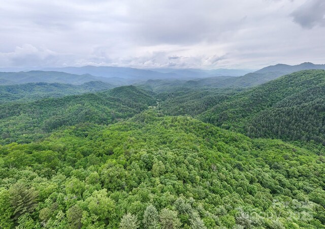 399 Shell Stand Rd, Almond, NC 28702 - photo 13