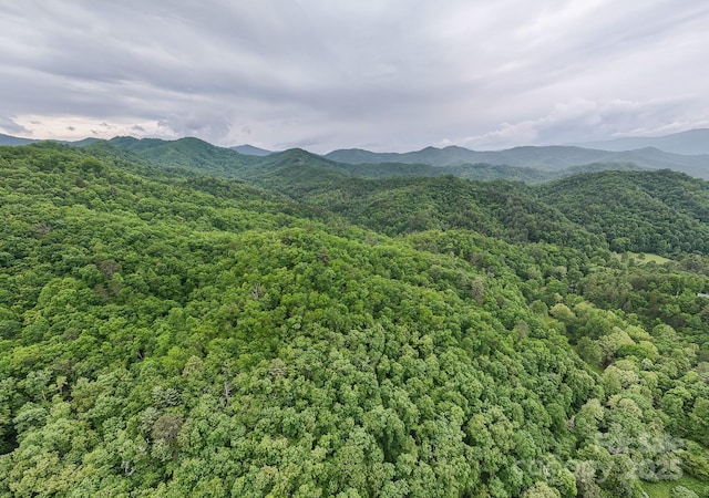 399 Shell Stand Rd, Almond, NC 28702 - photo 14