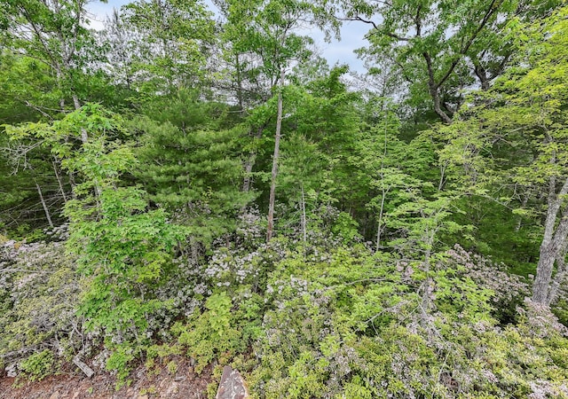 399 Shell Stand Rd, Almond, NC 28702 - photo 15