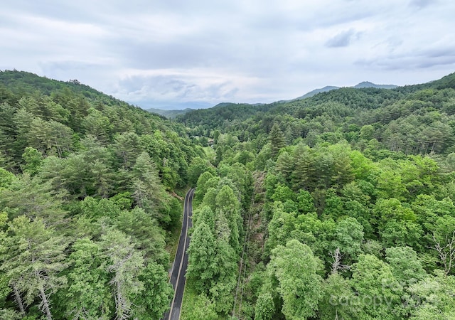 399 Shell Stand Rd, Almond, NC 28702 - photo 16
