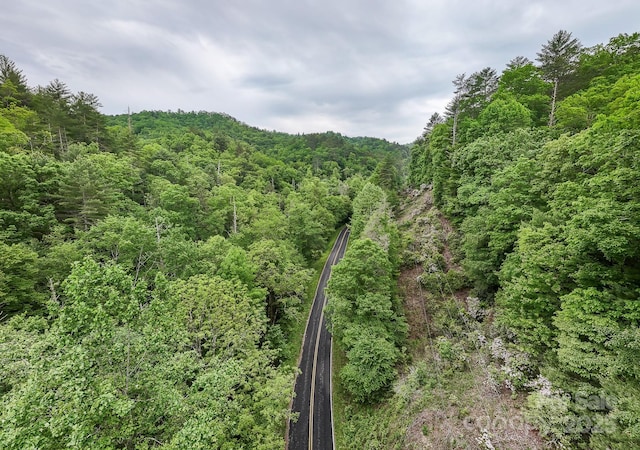 399 Shell Stand Rd, Almond, NC 28702 - photo 17