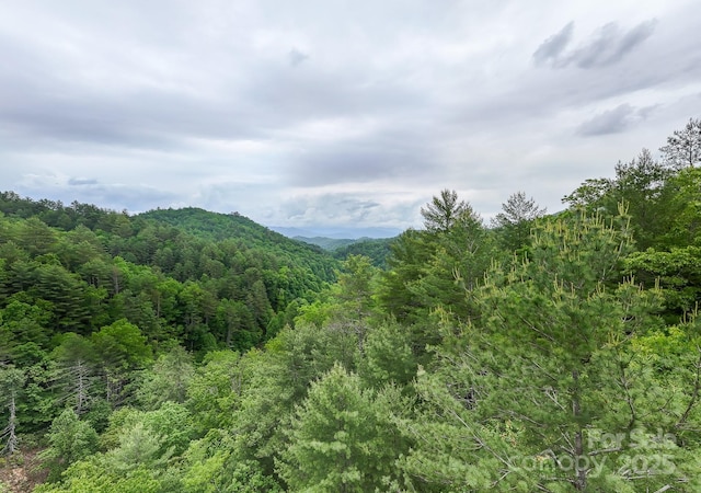 399 Shell Stand Rd, Almond, NC 28702 - photo 18