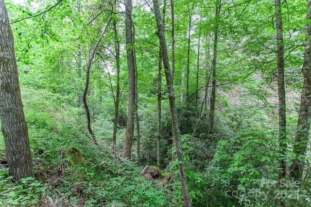 399 Shell Stand Rd, Almond, NC 28702 - photo 20