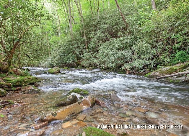 399 Shell Stand Rd, Almond, NC 28702 - photo 21