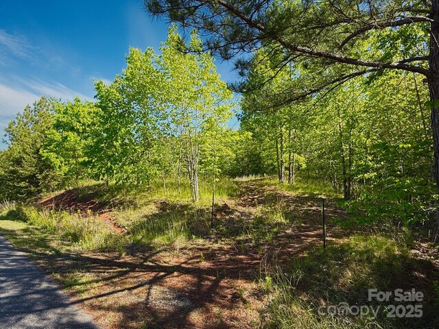 0 Cross Creek Dr Unit 70, Rutherfordton, NC 28139