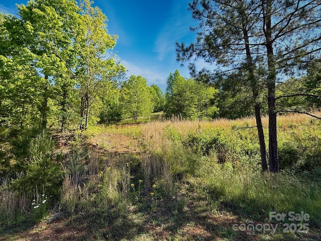 0 Cross Creek Dr Unit 70, Rutherfordton, NC 28139