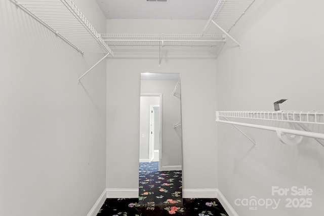 6017 Millbury Ct, Charlotte, NC 28211 - walk in closet featuring carpet flooring