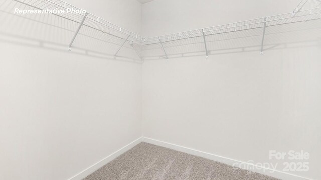 3916 Coleman Dr, Charlotte, NC 28215 - photo 10