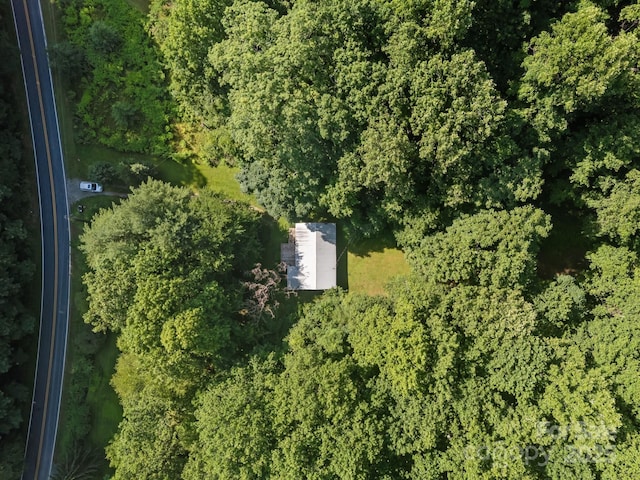 790 Thompson Rd, Saluda, NC 28773 - view of property location