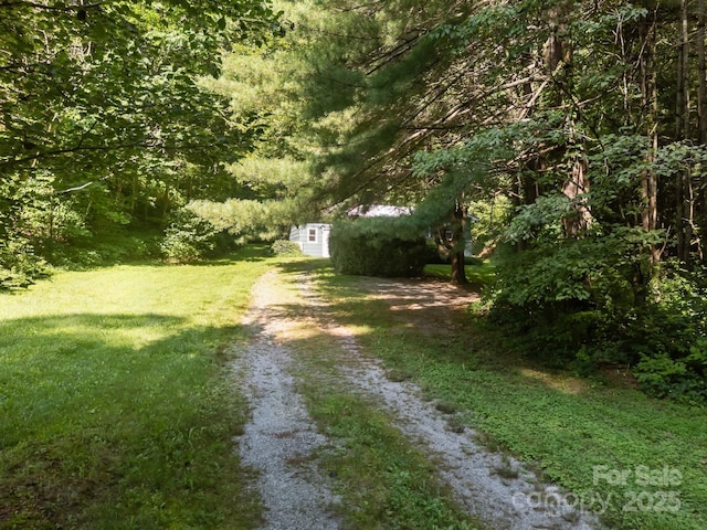 790 Thompson Rd, Saluda, NC 28773 - view of green lawn featuring driveway, a shed, and a forest view