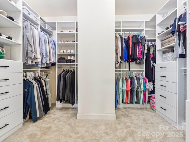 1009 Hampton Grove Rd, Waxhaw, NC 28173 - spacious closet featuring carpet flooring