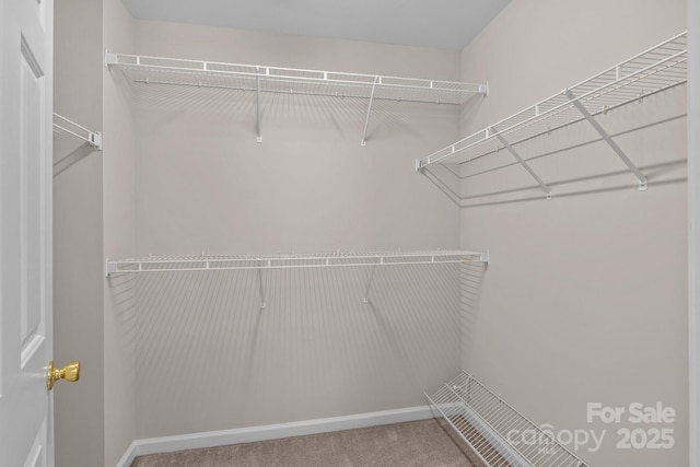 4519 Rock Stream Dr, Charlotte, NC 28269 - spacious closet featuring carpet