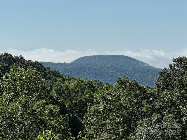 807 Hollybrook Dr, Flat Rock, NC 28731 - view of mountain background with a heavily wooded area