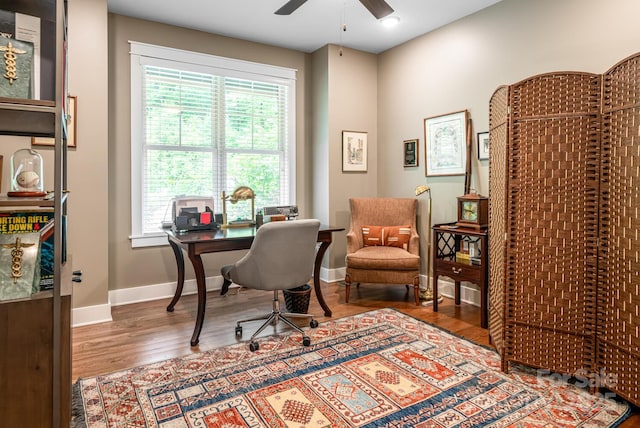 807 Hollybrook Dr, Flat Rock, NC 28731 - office space featuring a ceiling fan, wood finished floors, and plenty of natural light