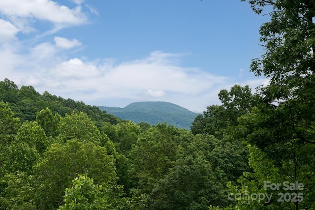 807 Hollybrook Dr, Flat Rock, NC 28731 - view of mountain backdrop featuring a forest
