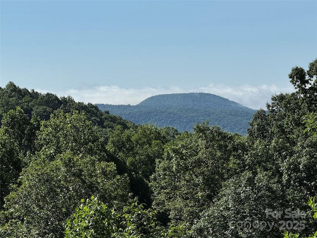 807 Hollybrook Dr, Flat Rock, NC 28731 - mountain view with a forest