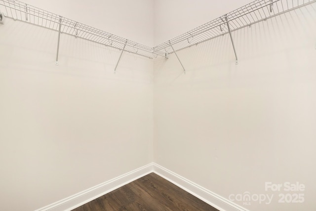 123 S Shayna Rd, Troutman, NC 28166 - spacious closet with dark wood-style floors