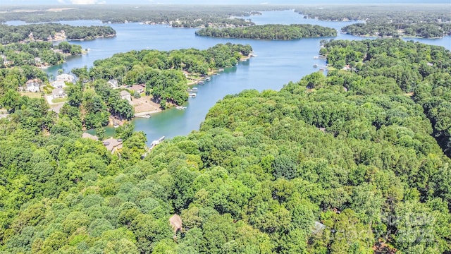 140 Rustic Way Ln, Mooresville, NC 28117 - drone / aerial view of a forest and a large body of water
