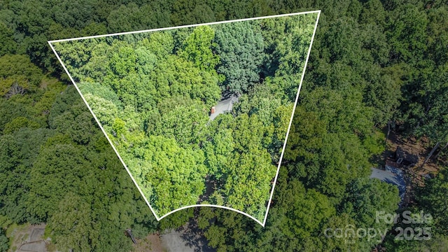 140 Rustic Way Ln, Mooresville, NC 28117 - aerial view of property's location featuring a forest and property boundaries highlighted