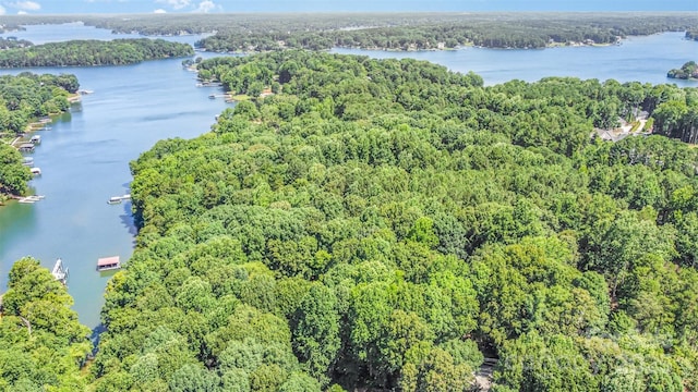 140 Rustic Way Ln, Mooresville, NC 28117 - aerial view of property's location with a heavily wooded area and a large body of water