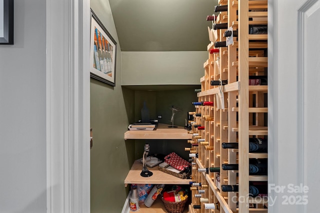 15724 Eagleview Dr, Charlotte, NC 28278 - view of wine cellar