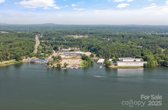 15724 Eagleview Dr, Charlotte, NC 28278 - aerial view of a nearby body of water