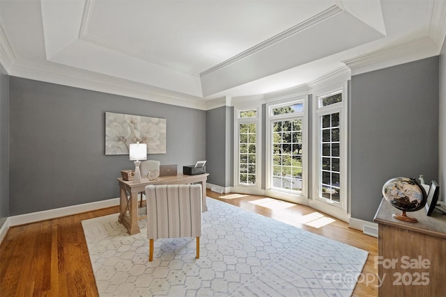 2317 Houston Branch Rd, Charlotte, NC 28270 - office area featuring a tray ceiling, light wood-style floors, and crown molding