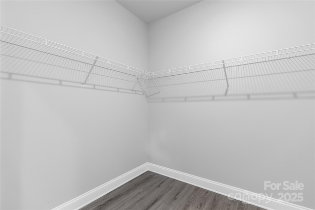 10180 Lakeshore Dr, Lancaster, SC 29720 - walk in closet with dark wood finished floors