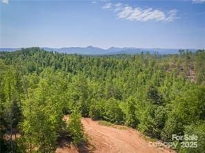 5282 NC-181 St, Morganton, NC 28655