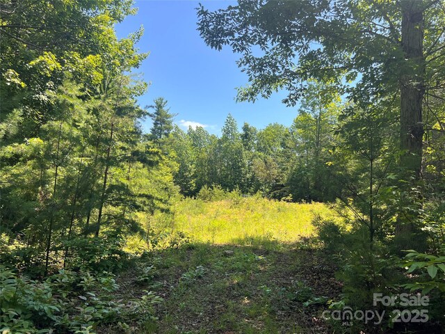 5282 NC-181 St, Morganton, NC 28655 - photo 22