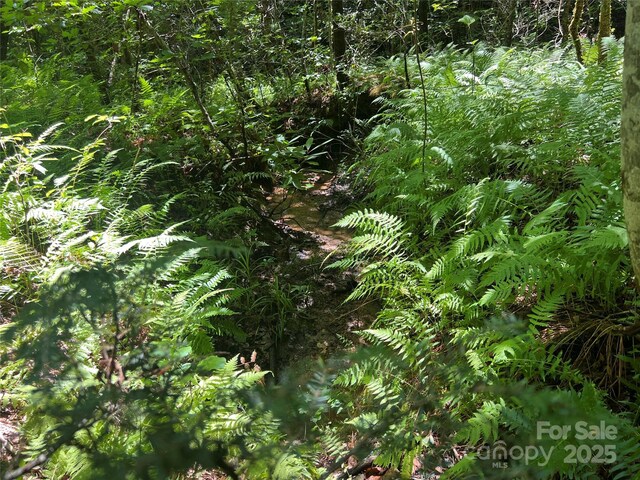 5282 NC-181 St, Morganton, NC 28655 - photo 23