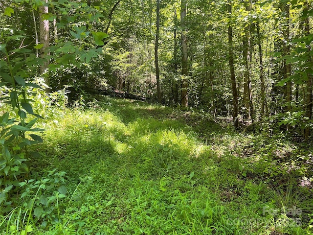 5282 NC-181 St, Morganton, NC 28655 - photo 25