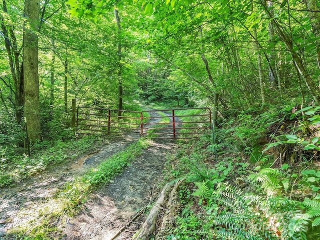 5282 NC-181 St, Morganton, NC 28655 - photo 34